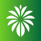 saudiyouthopportunities | Unsorted