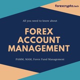 FOREX HONEST ACCOUNT MANAGEMENT