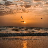 sunset_e4 | Unsorted