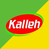 kallehshahreamol | Unsorted