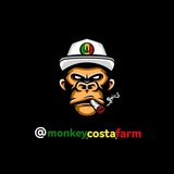 monkeycostafarm | Unsorted