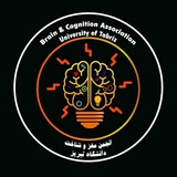 scogbrain_dcntu | Unsorted