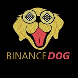 bidogcoin | Cryptocurrency