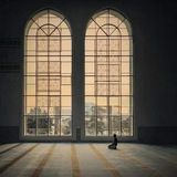 qotoof_daniah | Unsorted