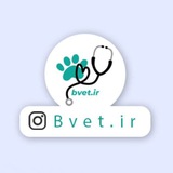 bvetchannel | Неотсортированное
