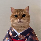 catownkimono | Unsorted