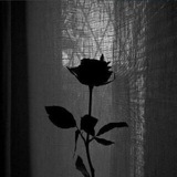 cccwwn556 | Unsorted