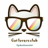 catloversclub | Unsorted