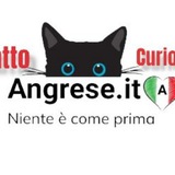 gatto_curioso_oggi | Unsorted