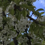 persianliteratures | Неотсортированное