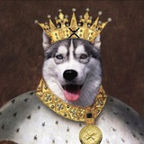 kingdoggoxrp | Cryptocurrency