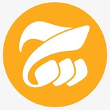 cheraaghak | Unsorted