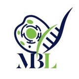 mblbiolab | Unsorted
