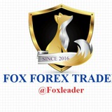 foxforex7 | Cryptocurrency