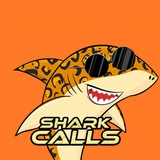 sharkalphacalls | Unsorted