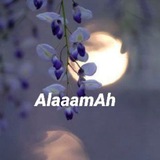 alaaamah | Unsorted