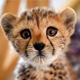 bdanestany | Unsorted