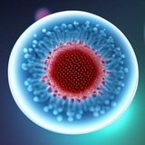 ciencia | Unsorted