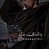 p4shaydll | Unsorted