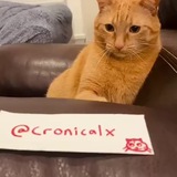 cronicalx | Unsorted