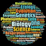 biologylab1400 | Unsorted