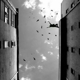 shaayaad1 | Unsorted