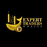 expertradersofficialgroup | Cryptocurrency