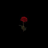 xoollp | Unsorted