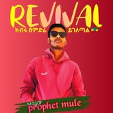 prophetmule | Unsorted