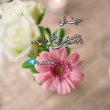 amir1589bb | Unsorted