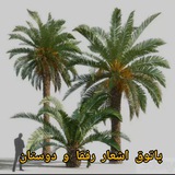 m_o_o_8_5 | Неотсортированное