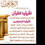 alzahraoun | Unsorted