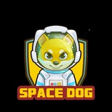 spacedogbsc | Unsorted