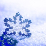 alonesnowflake | Неотсортированное