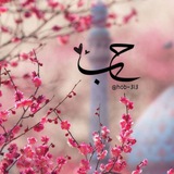 hob_313 | Unsorted