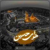 havay_hosein | Unsorted