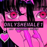 onlyshemale1 | Adults only