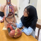 konkur_hyalin | Unsorted