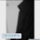 haneen_9631 | Unsorted