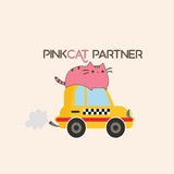 pinkcat_partner | Unsorted