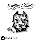 pugliajoint12 | Unsorted