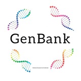 genbank39 | Unsorted