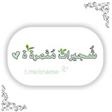 onaese | Unsorted