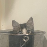 nerkhzaan | Unsorted