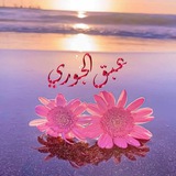 ib9aljourii | Unsorted