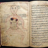 dissection786 | Unsorted