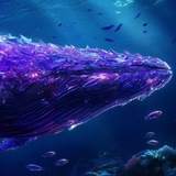 whalewatchpoly | Unsorted