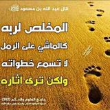 al3uchassalafi | Unsorted
