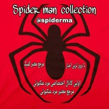 spidermancollection | Unsorted