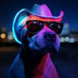 mrpitbull07 | Unsorted